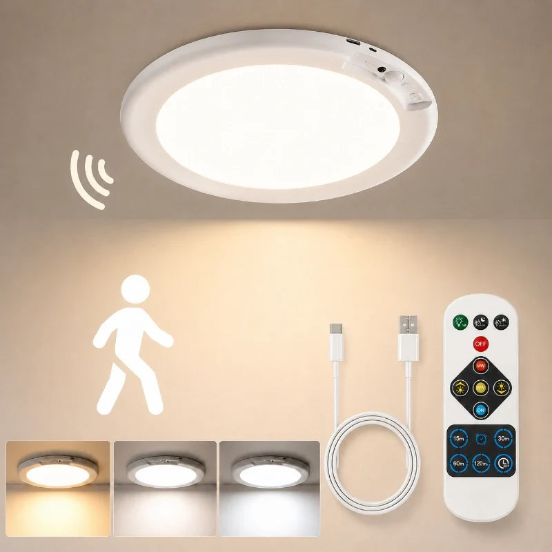 Wireless Motion Sensor Ceiling Light