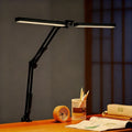 Adjustable LED Desk Lamp