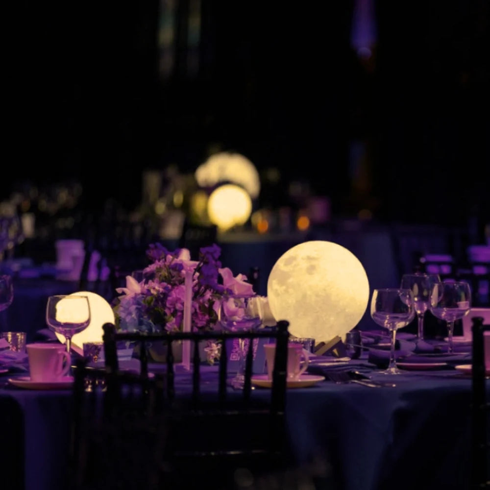 LED Moon Garden Light